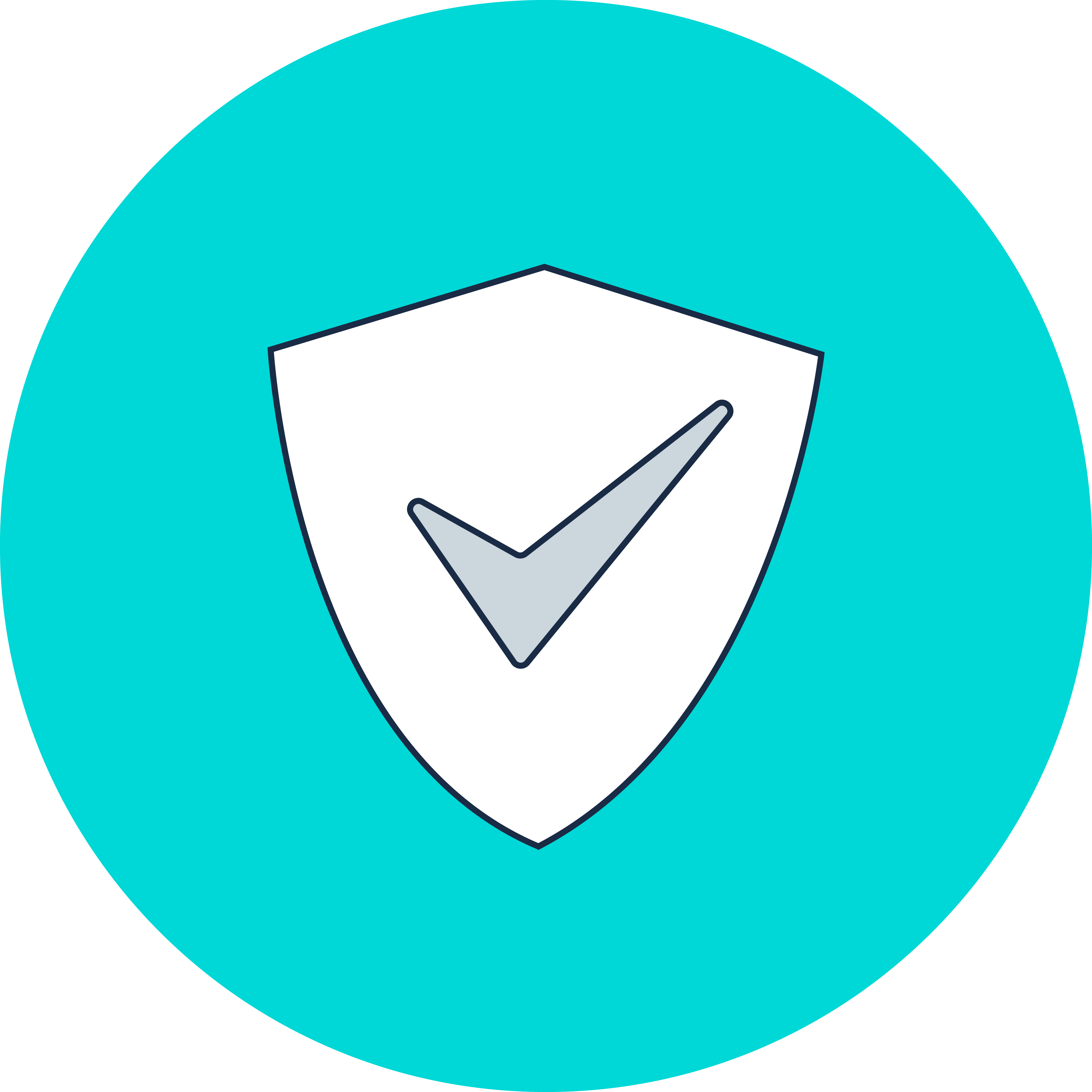 Ciberseguridad